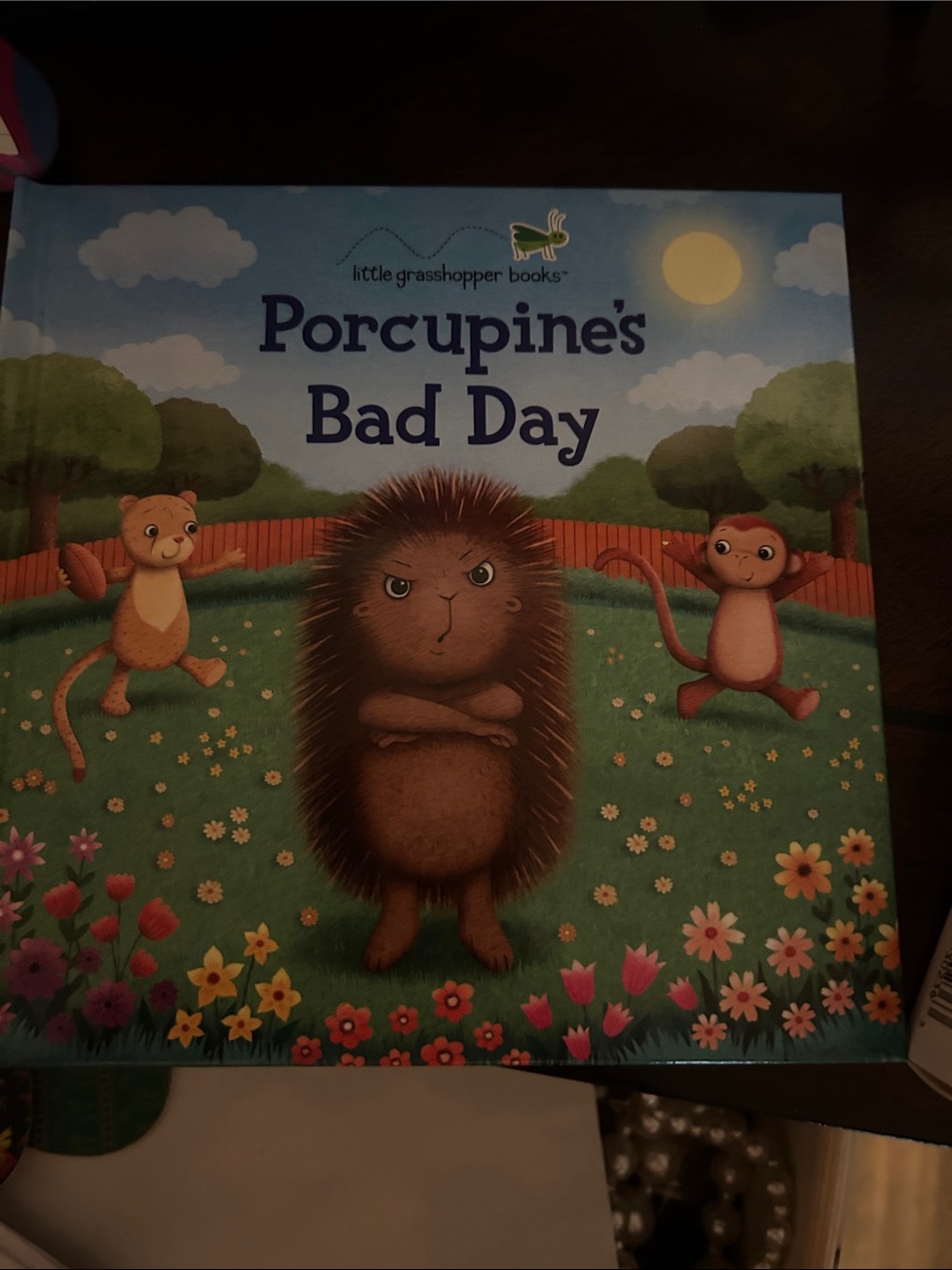 Porcupine's Bad Day Little Grasshopper Books - Blue Green Cover